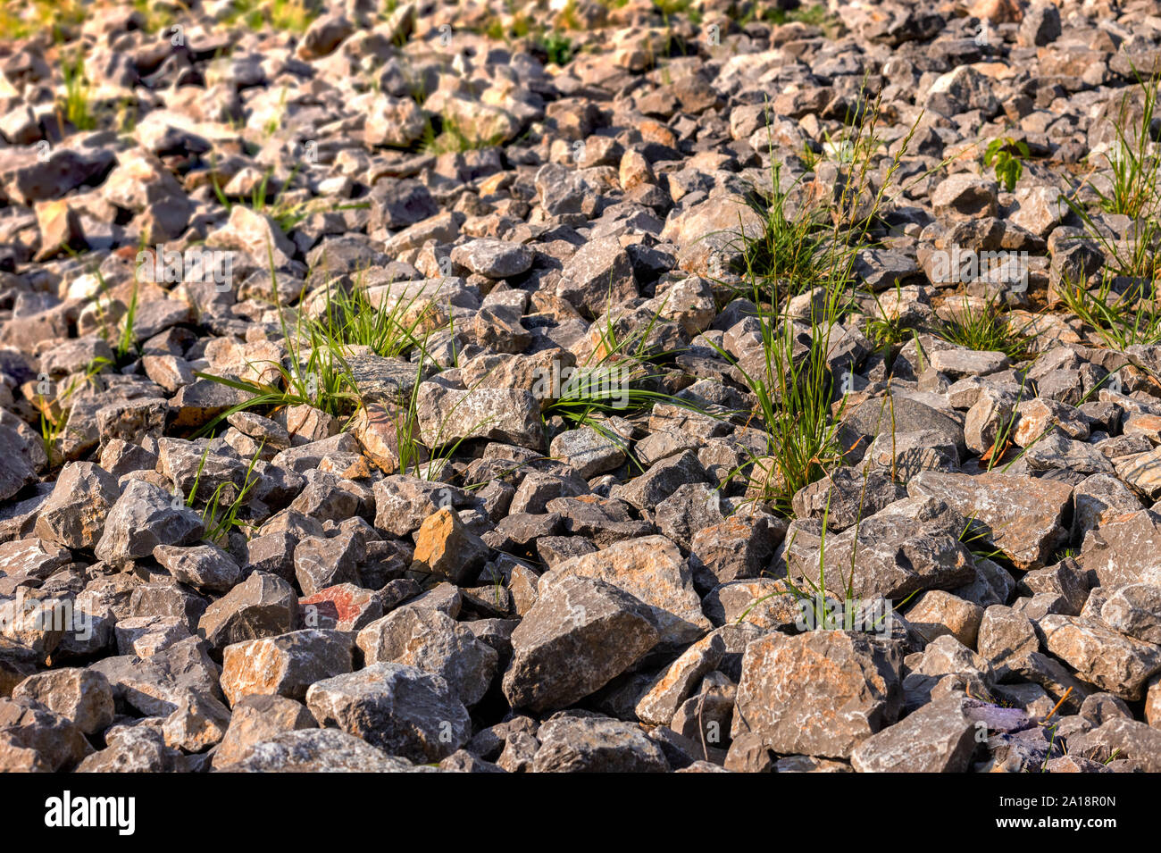 Piedras con mechones de pasto. Costa pedregosa en el sol. Desierto de grava. Fondo de roca. Cerca de la cantera. Foto de stock