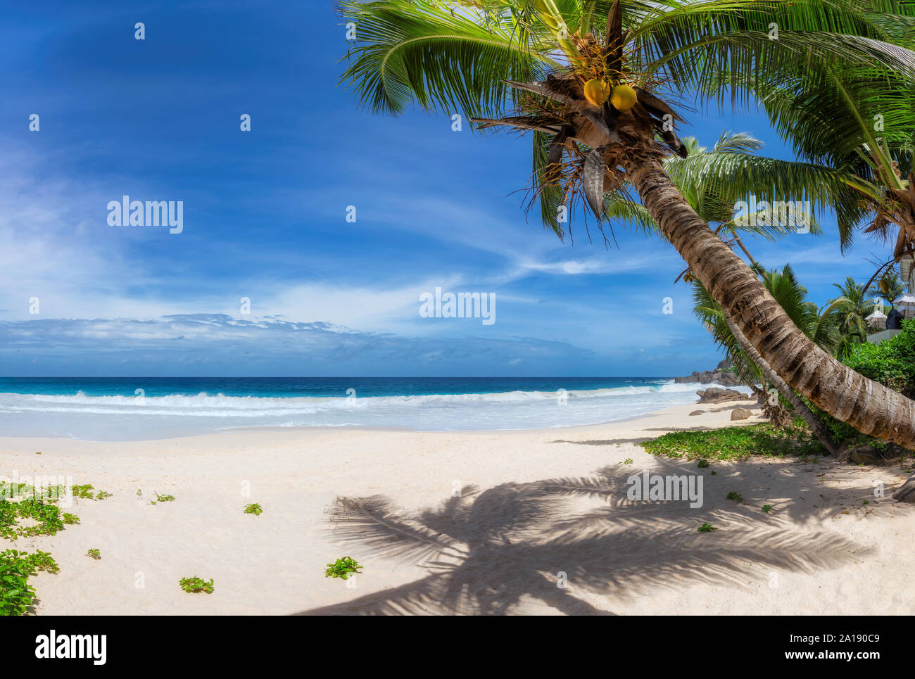 Playa tropical exótica. Foto de stock