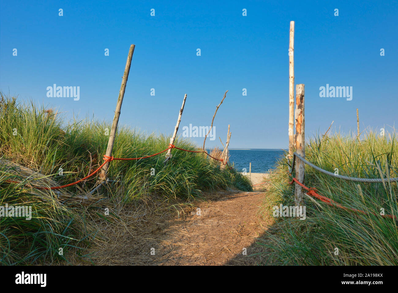 Foodpath rodeado de hierba alta y barrera con cuerda roja que conduce a la playa y el mar en el mar del Norte isla Texel en Holanda Foto de stock