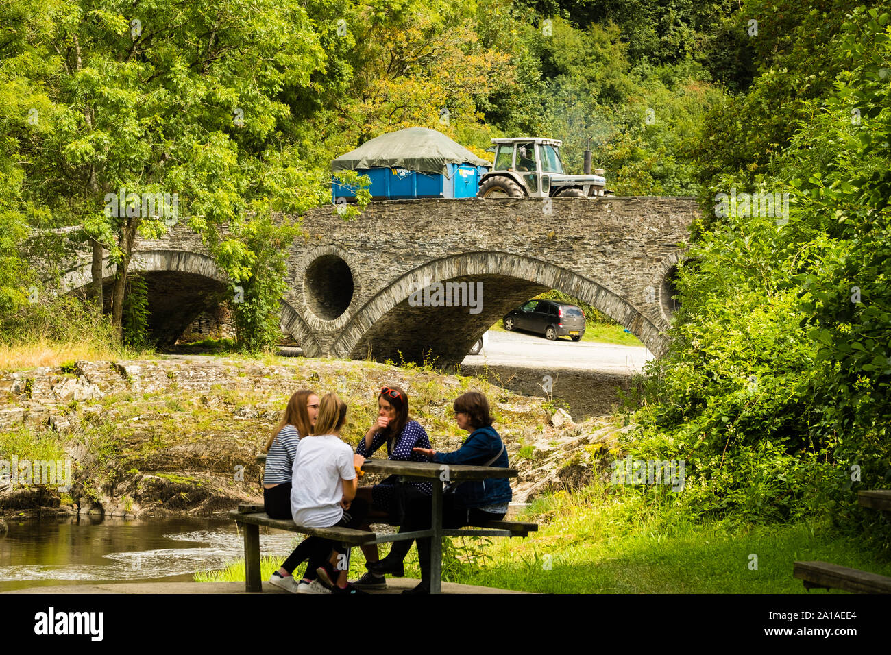Viajes y turismo: Tarde de verano, y el Río Teifi Cenarth, Ceredigion rural , Mid Wales UK Foto de stock