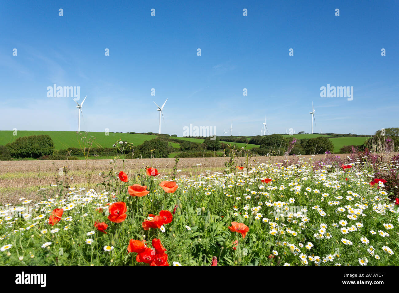 Turbinas de viento en los campos, cerca de Braunton, Devon, Inglaterra, Reino Unido Foto de stock