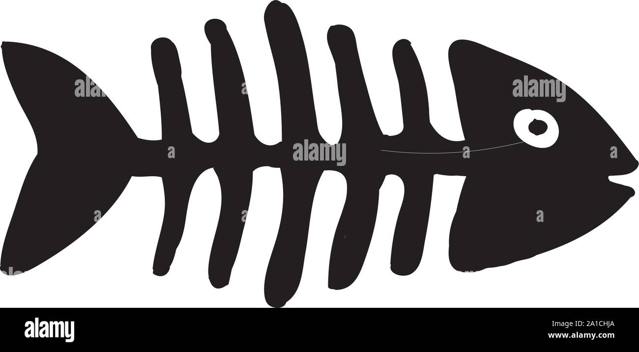 Los huesos de pescado, ilustración, vector sobre fondo blanco Imagen Vector de stock Alamy