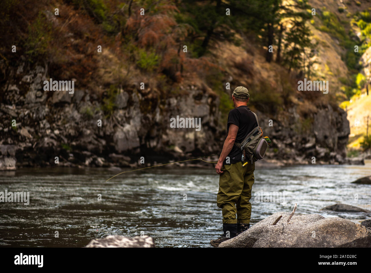 Pescador con mosca fundida en el arroyo de la montaña. Foto de stock
