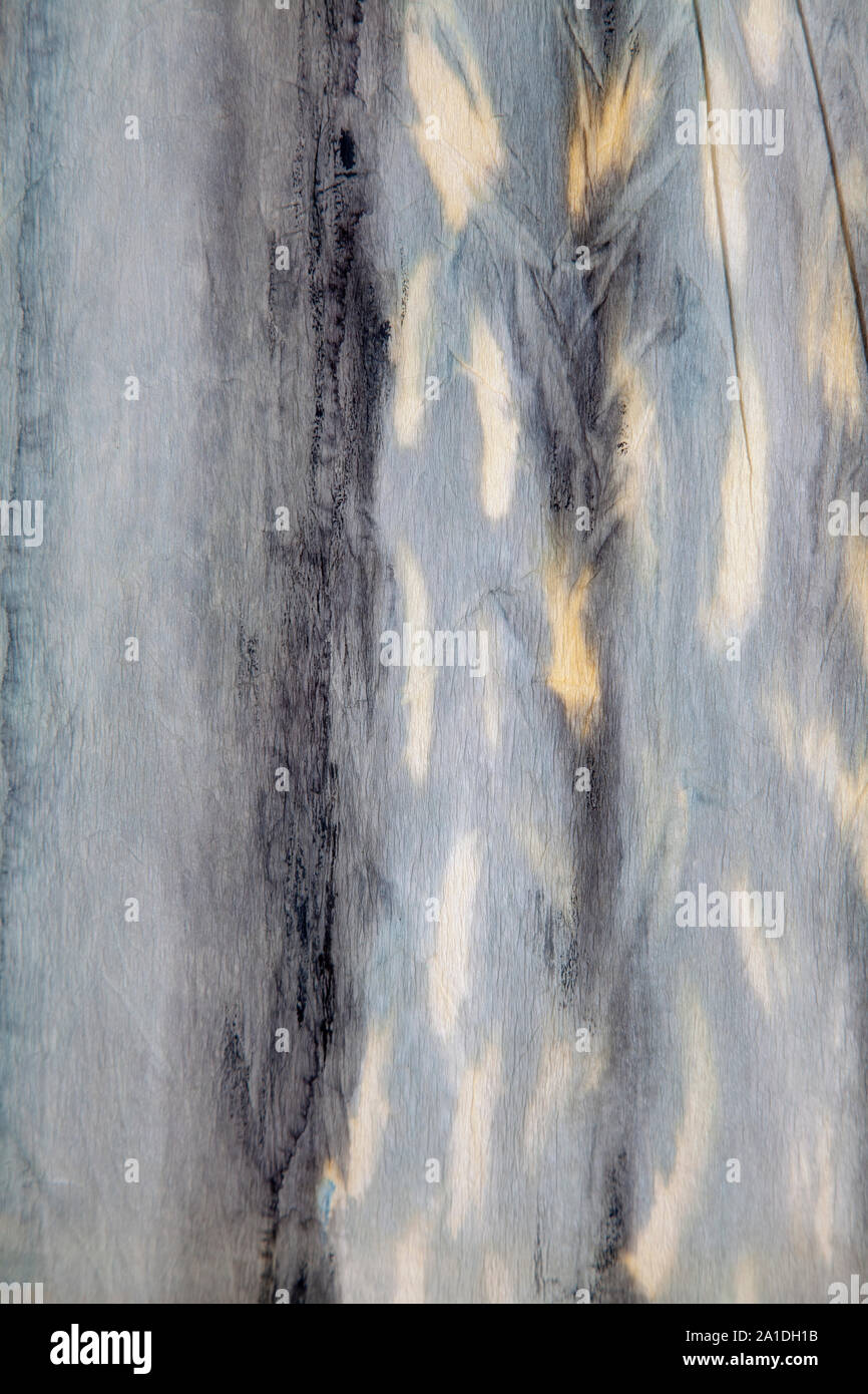 Las texturas de la piel de animales abstractos pintados Foto de stock