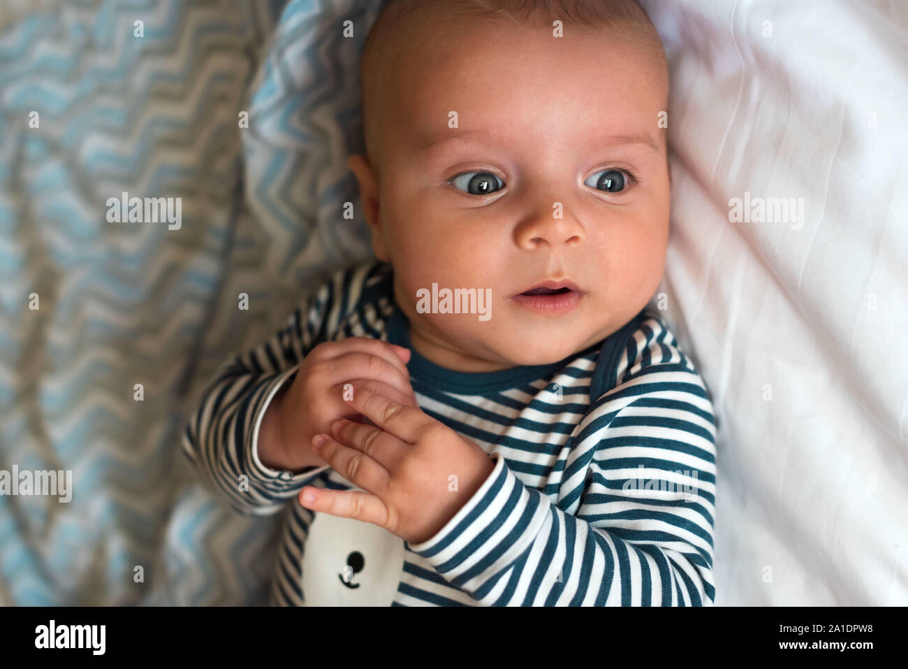 8 ideas de Manta de meses bebe  bebe, fotos bebes, mes a mes bebe