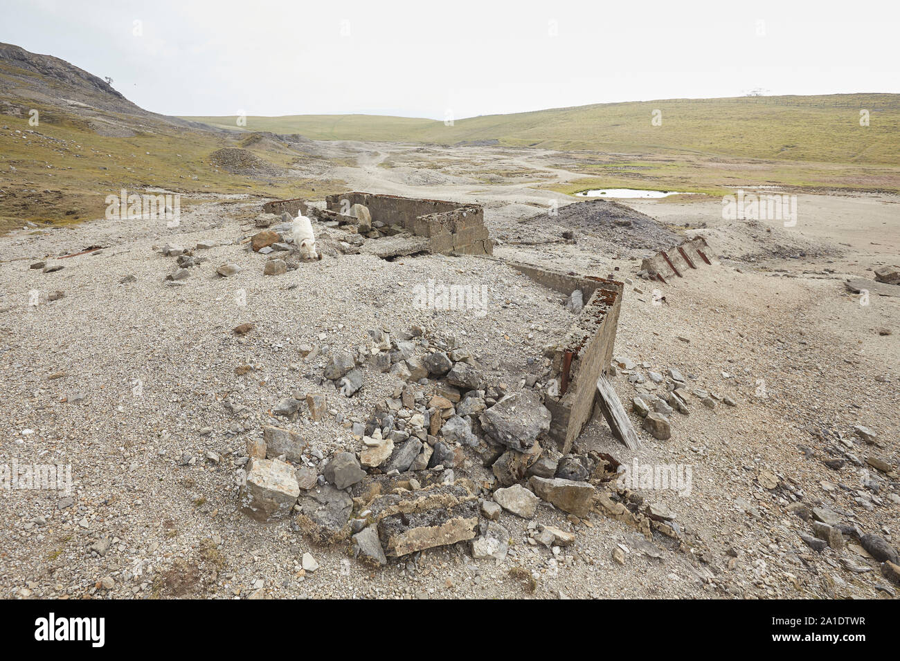 Los restos de las minas de plomo en Oxclose Road, Ivy Scar, entre Woodhall y Carperby, Yorkshire Dales National Park, REINO UNIDO Foto de stock