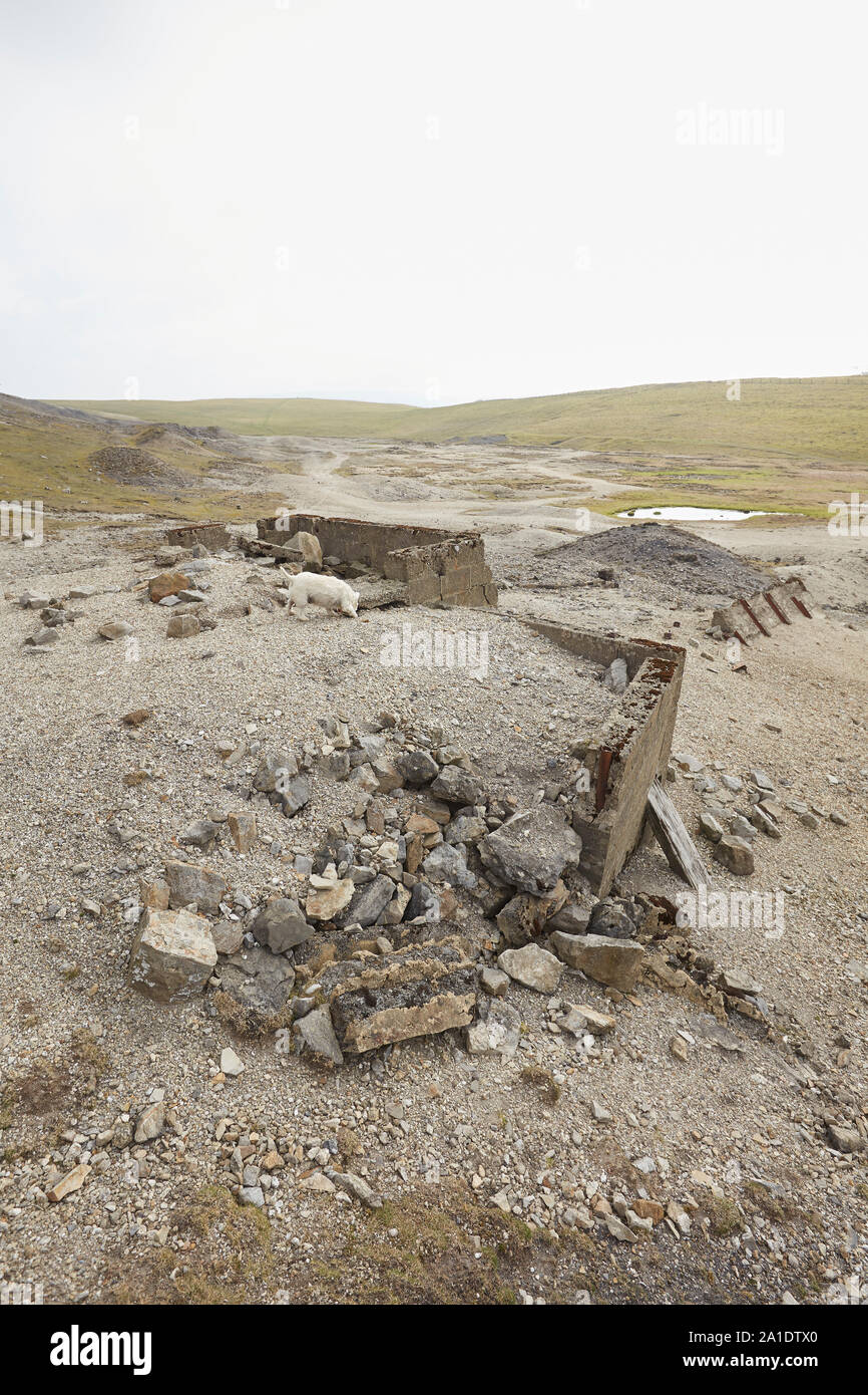 Los restos de las minas de plomo en Oxclose Road, Ivy Scar, entre Woodhall y Carperby, Yorkshire Dales National Park, REINO UNIDO Foto de stock
