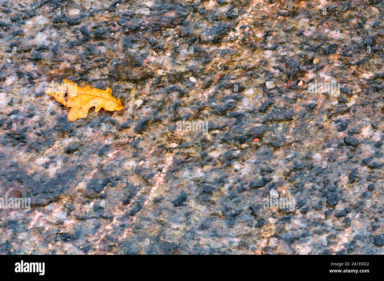 La textura de la piedra, el mar de fondo de piedra Fotografía de stock