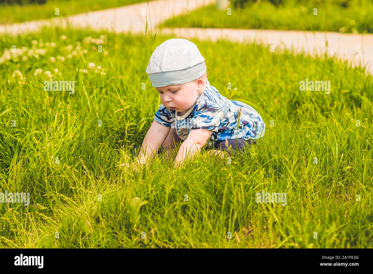 Lindo Bebé De 9 Meses Jugando Con Juguetes En La Hierba En El Jardín  Trasero. Concepto De Educación Para El Desarrollo Temprano in Foto de  archivo - Imagen de césped, ocio: 236308276