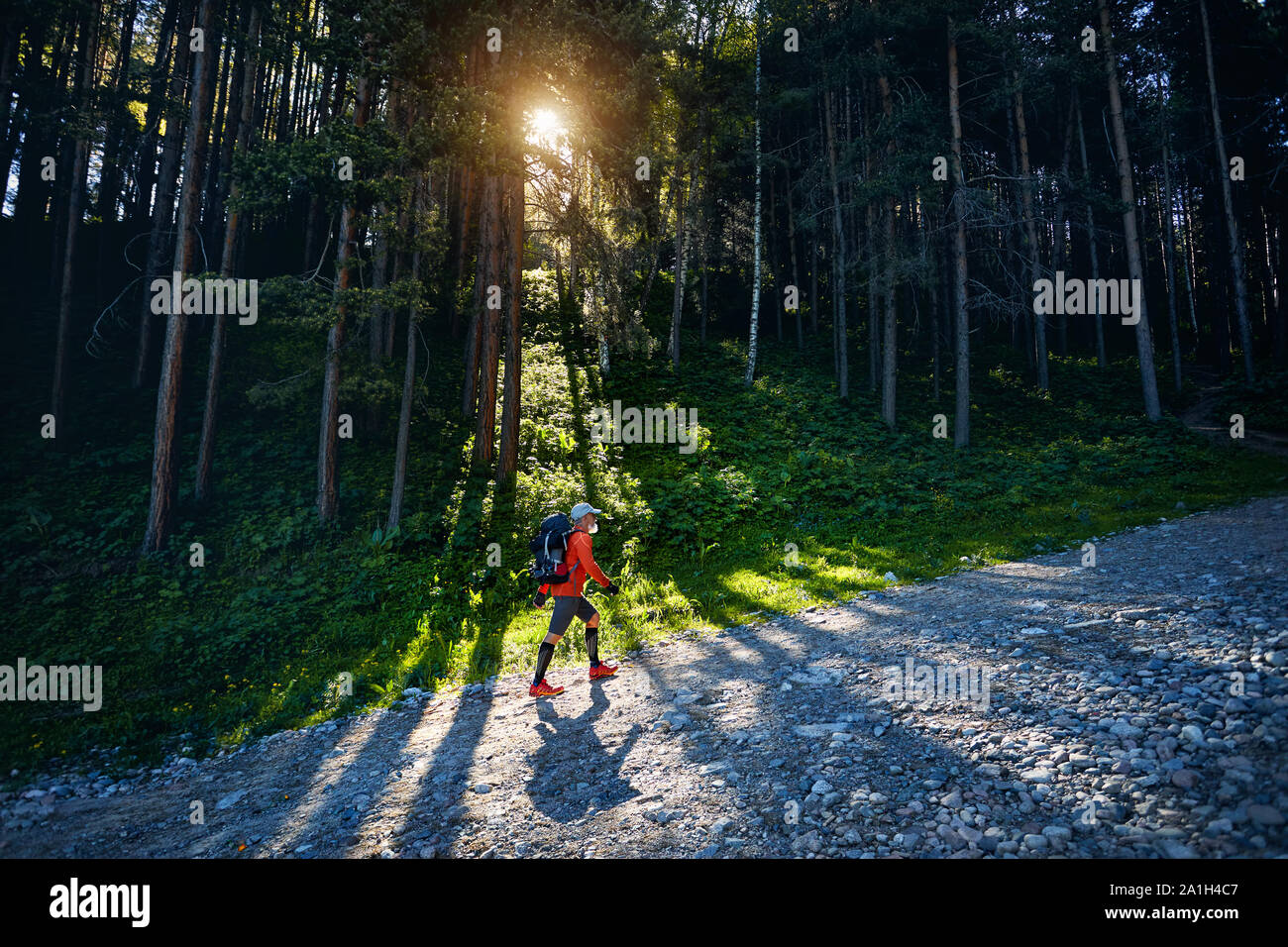 Turista en camiseta naranja y la mochila caminando en el bosque al amanecer. Concepto de viaje en el exterior Foto de stock