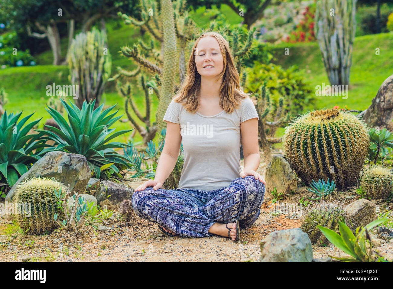 Una mujer joven está meditando entre un cactus. Concepto de espinas. Fuera de la zona de confort concepto.. Foto de stock