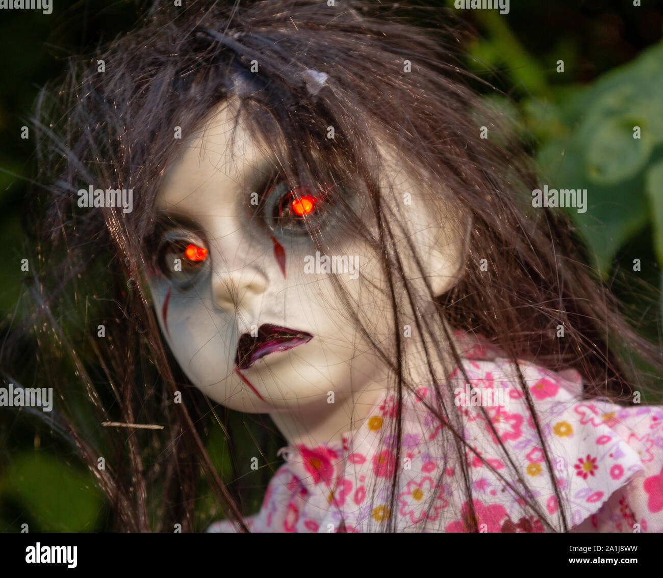 Disgarded muñeco de demonio con ojos rojos se esconde en los arbustos  Fotografía de stock - Alamy