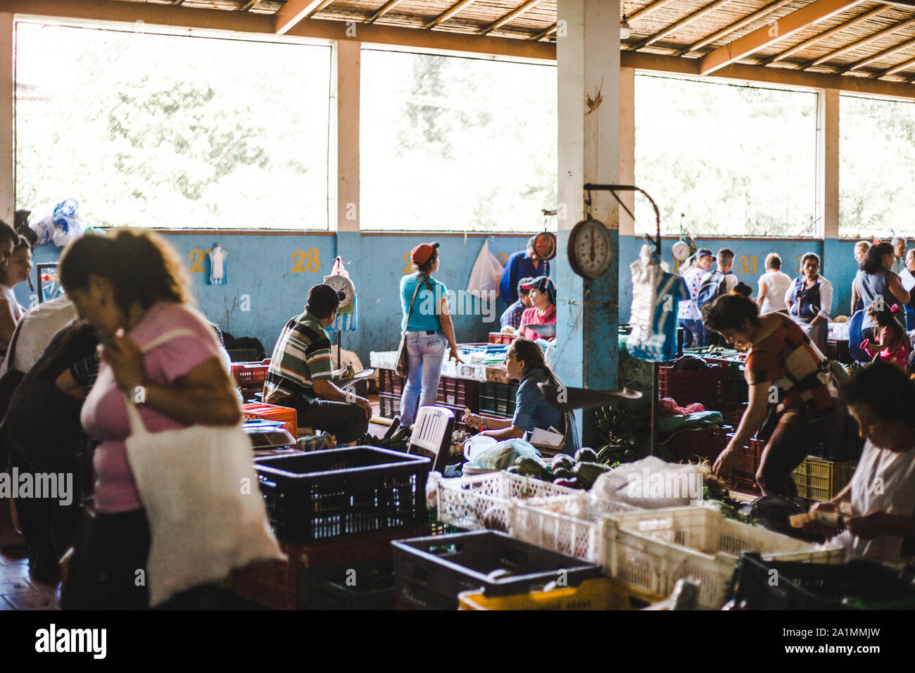 Escena típica en un local de frutas y hortalizas en Colombia, donde los agricultores llegan a la ciudad de San Gil, Santander para vender sus productos orgánicos Foto de stock