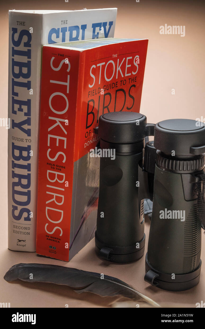 Equipo esencial de observación de aves y equipo para la observación de aves. Par de binoculares y de identificación de especies de aves guías de campo y plumas Foto de stock