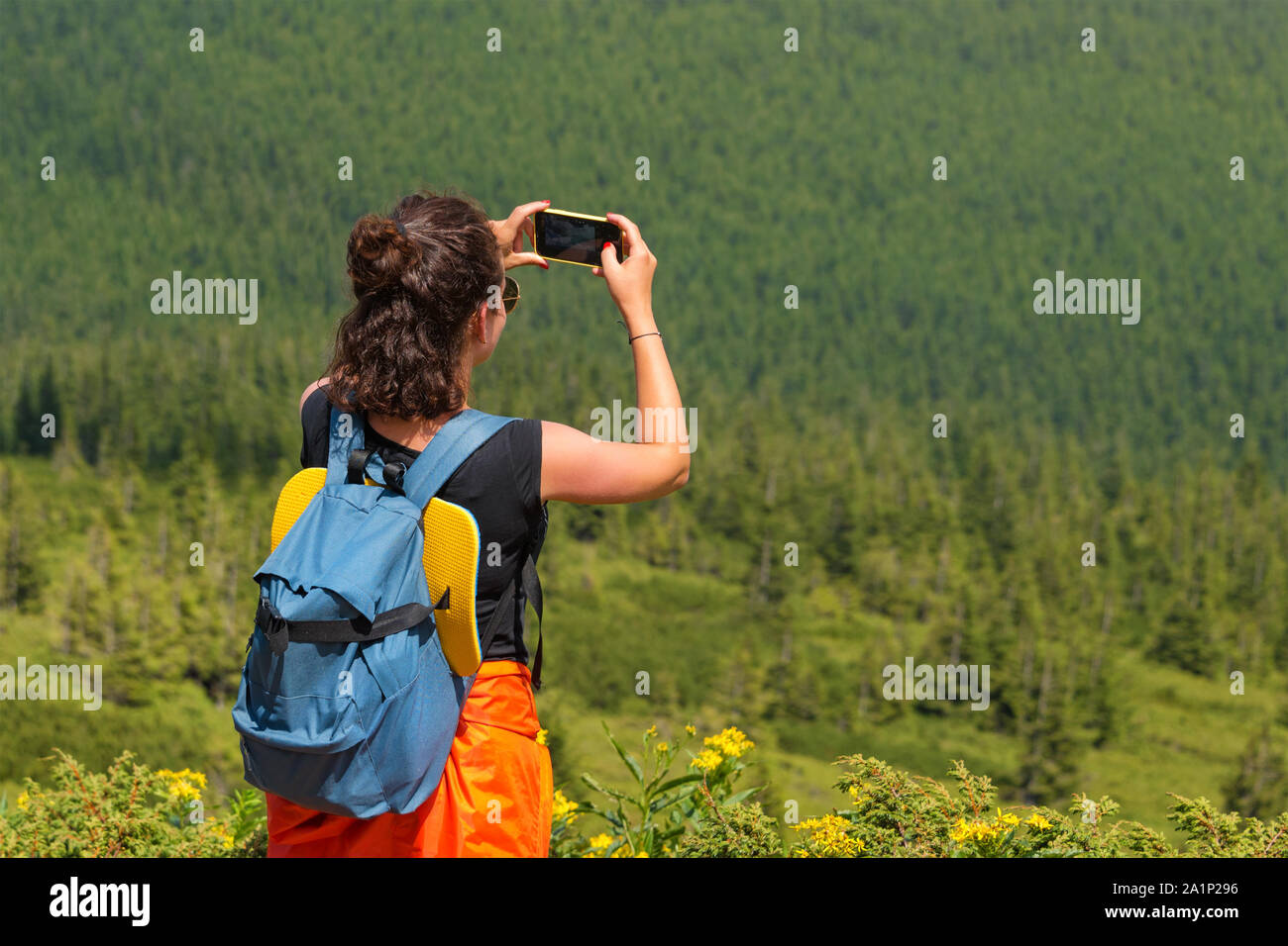 Mujer wanderlust fotografiar paisajes naturaleza del paisaje en el  smartphone en el bosque. Las hembras jóvenes de toma de fotografía en el  celular. Fotógrafo de la naturaleza touris Fotografía de stock -