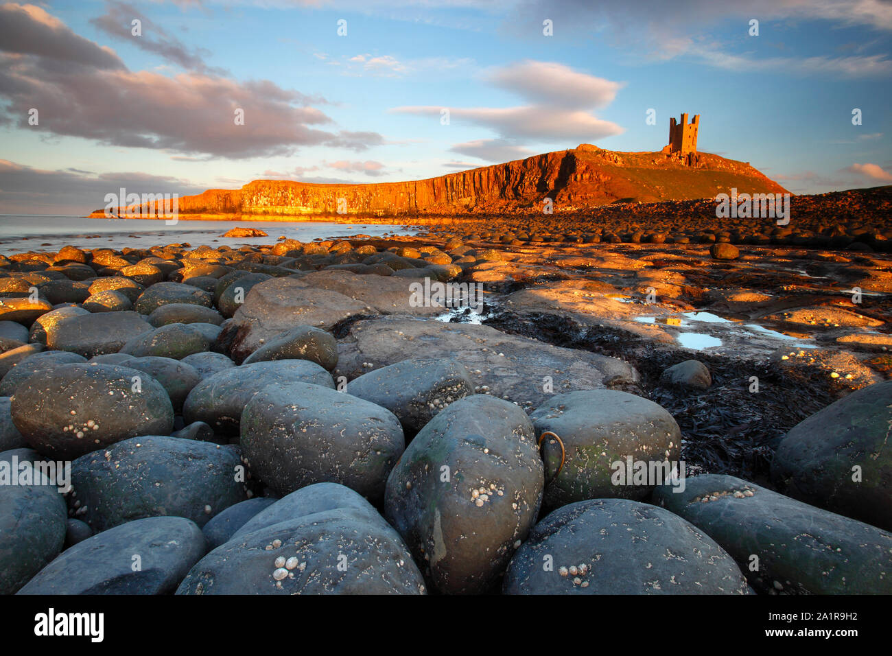 Cerca de un campo de Boulder con Dunstanburgh Castle en el fondo en una cálida y soleada tarde. En Northumberland, Inglaterra, Reino Unido. Foto de stock