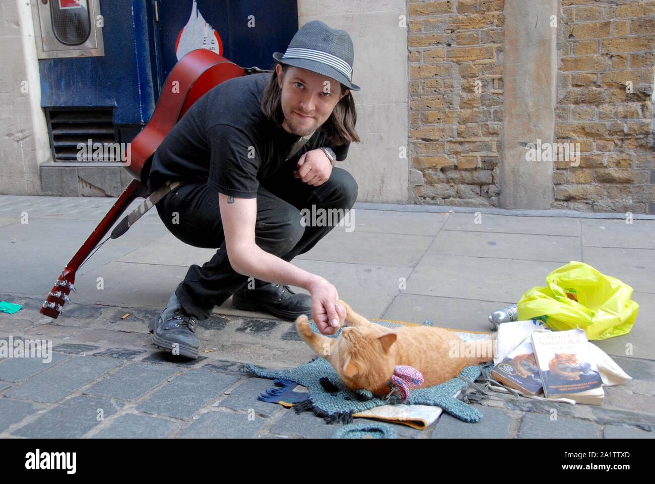 Gato callejero llamado bob fotografías e imágenes de alta resolución
