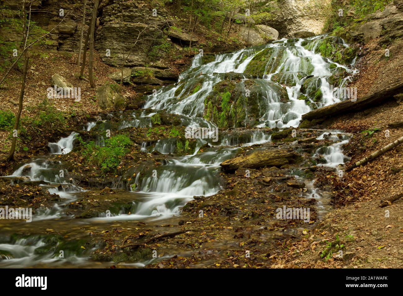 Un manantial alimenta una cascada en el bosque. Foto de stock