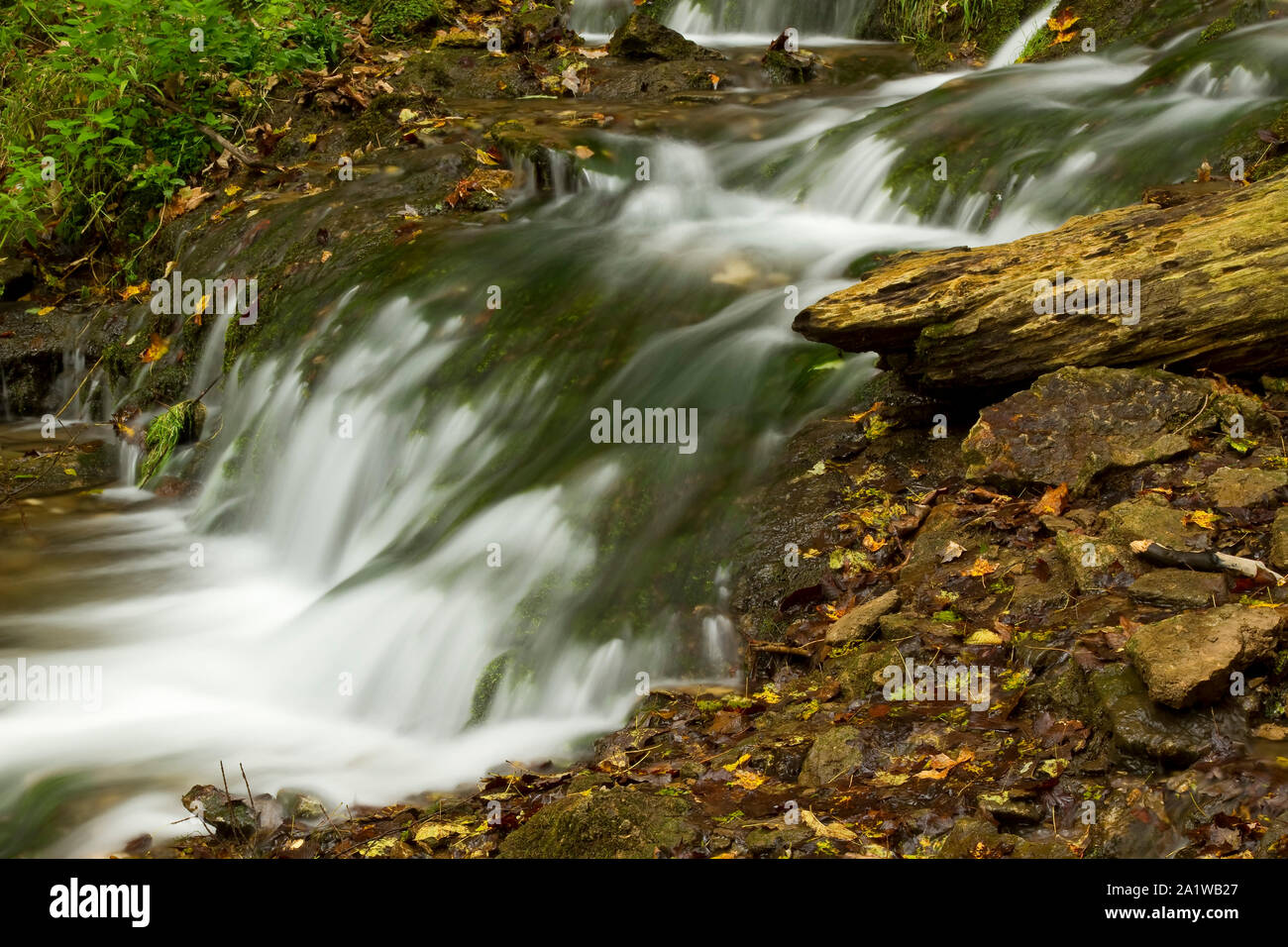 Un manantial alimenta una cascada en el bosque. Foto de stock