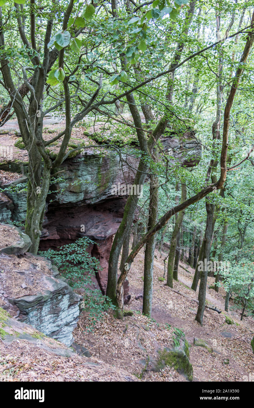 Grandes rocas en medio de la selva verde Foto de stock