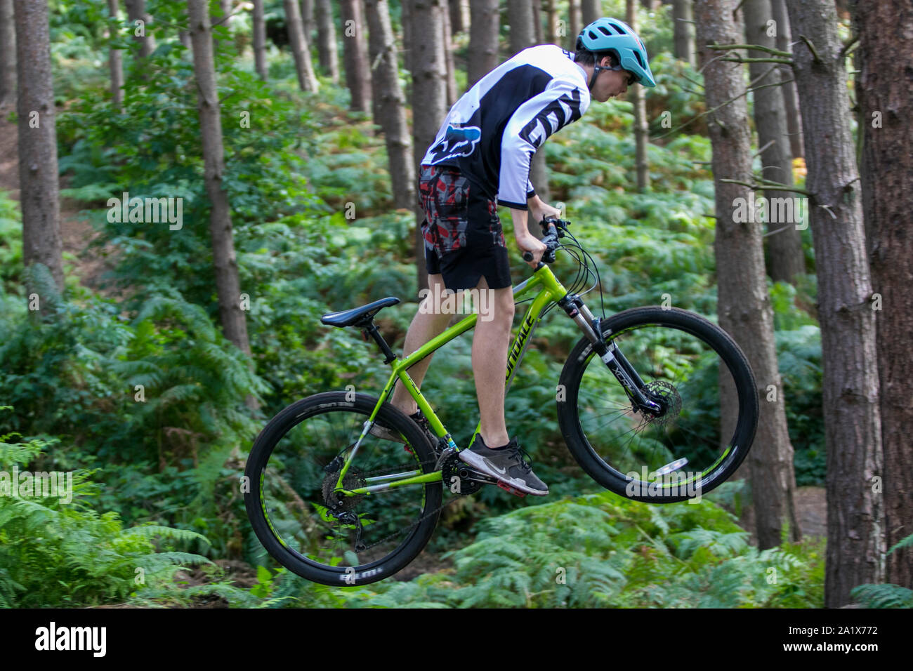 Adolescente saltando alrededor en una bicicleta de montaña en borde Kinver pista forestal rodeado de altos pinos. Foto de stock