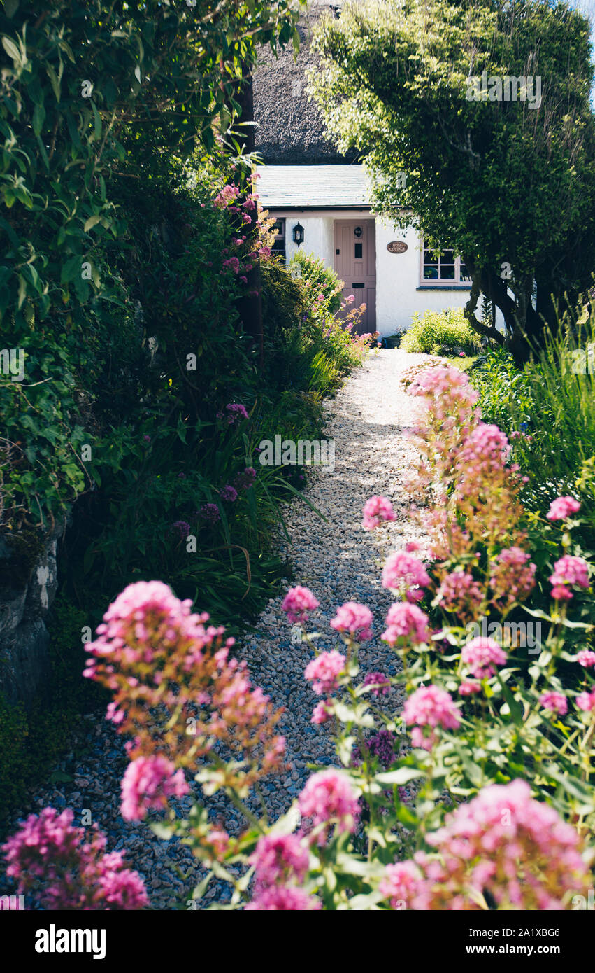 COVERACK, Cornwall, Reino Unido - 19 de junio de 2019. Una pintoresca casa de Cornualles, mostrando el camino que conduce a la puerta principal con hermosas flores que recubren el ro Foto de stock