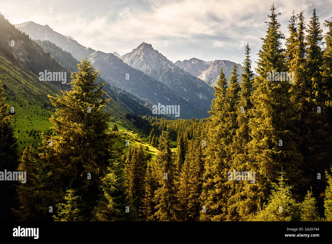 Paisaje del valle de montaña con abetos y pico nevado en Karakol, parque nacional de Kirguistán Foto de stock