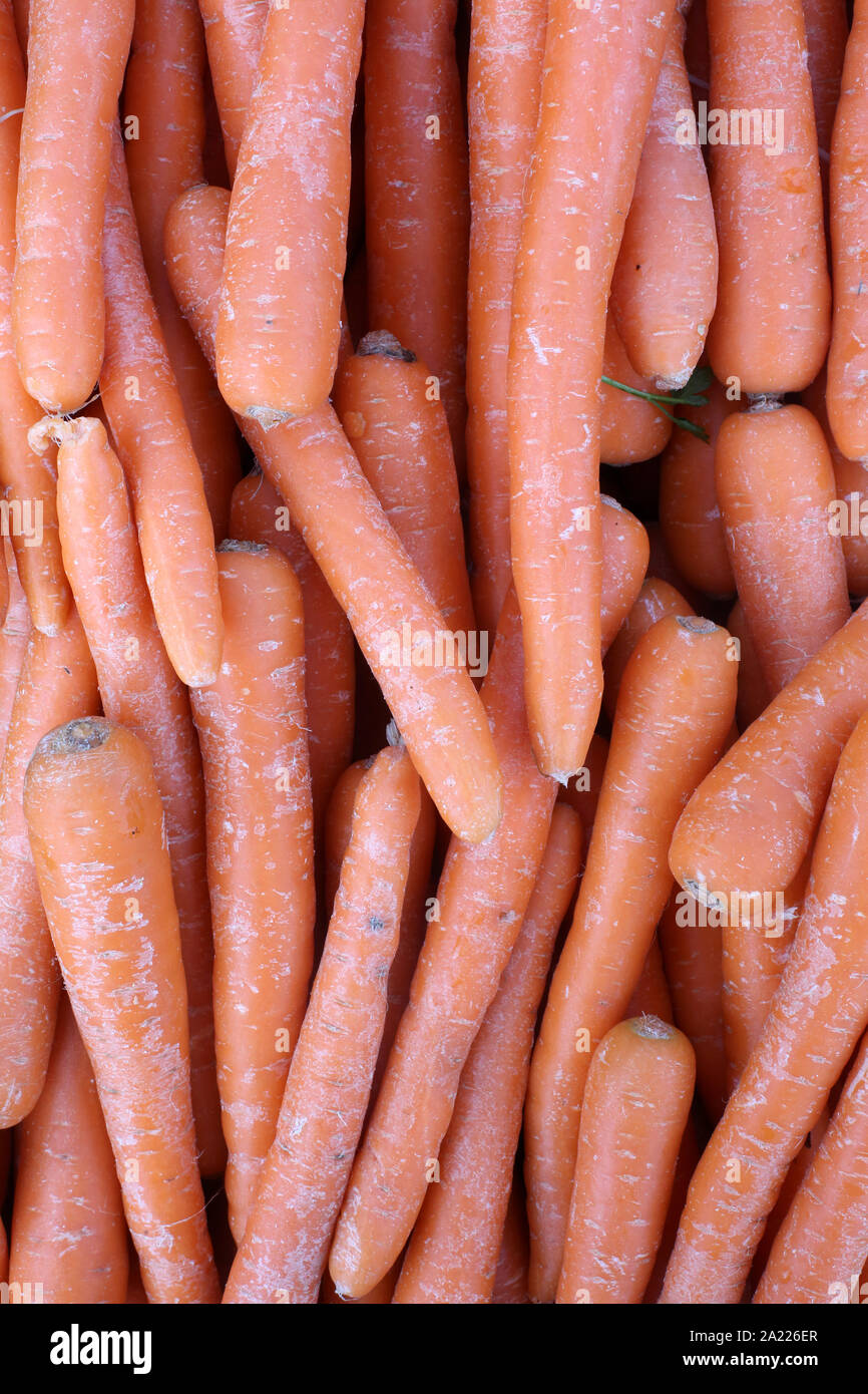 Onu march Carottes bio sur. Las zanahorias orgánicos en un mercado. Foto de stock