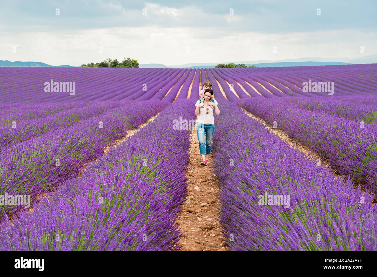 Madre e hija caminando entre campos de lavanda en el verano Foto de stock
