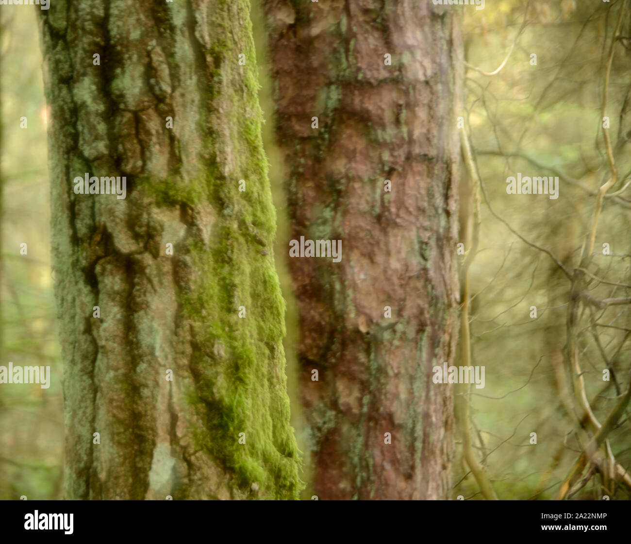 Ambiente biofisico fotografías e imágenes de alta resolución - Alamy