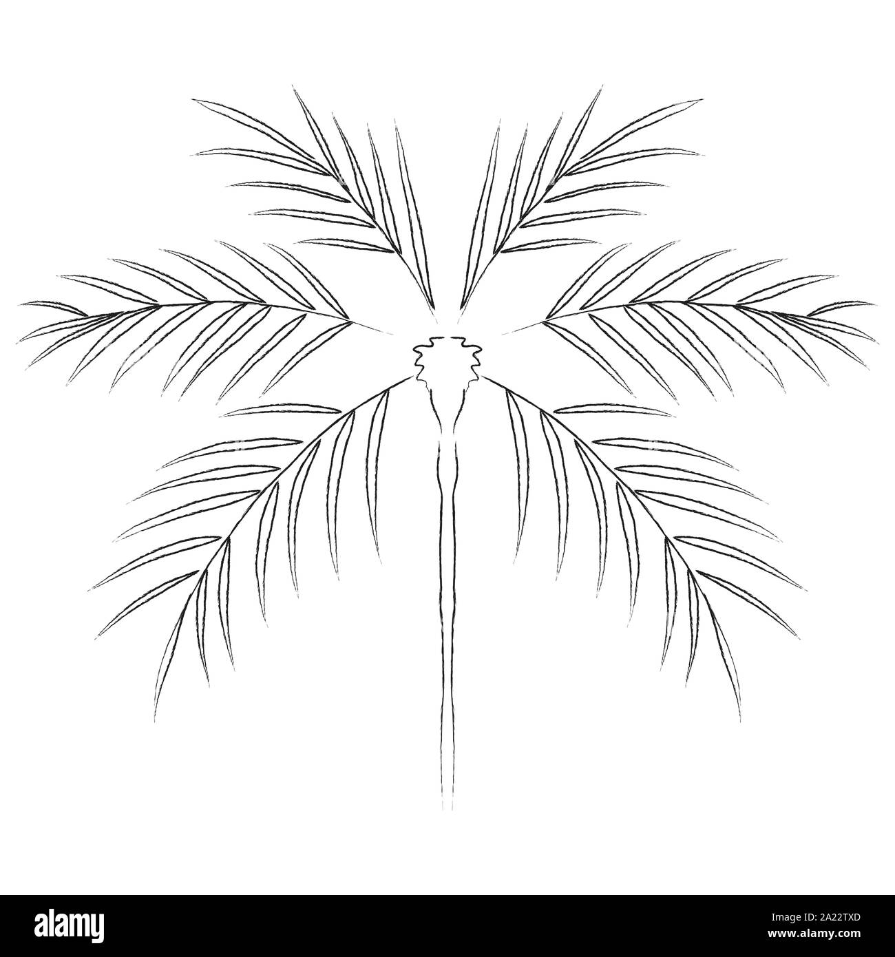 Palmeras y half moon / dibujadas a mano ilustración vectorial Foto de stock