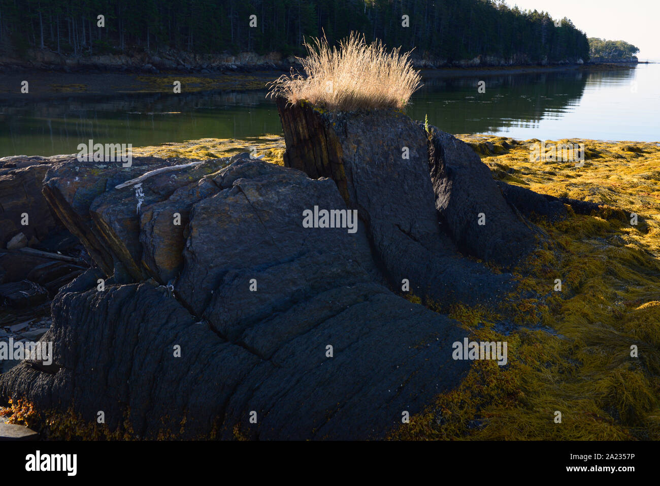 Isla Harpswell Barnes, cuello, Maine. Las rocas y el océano. Foto de stock
