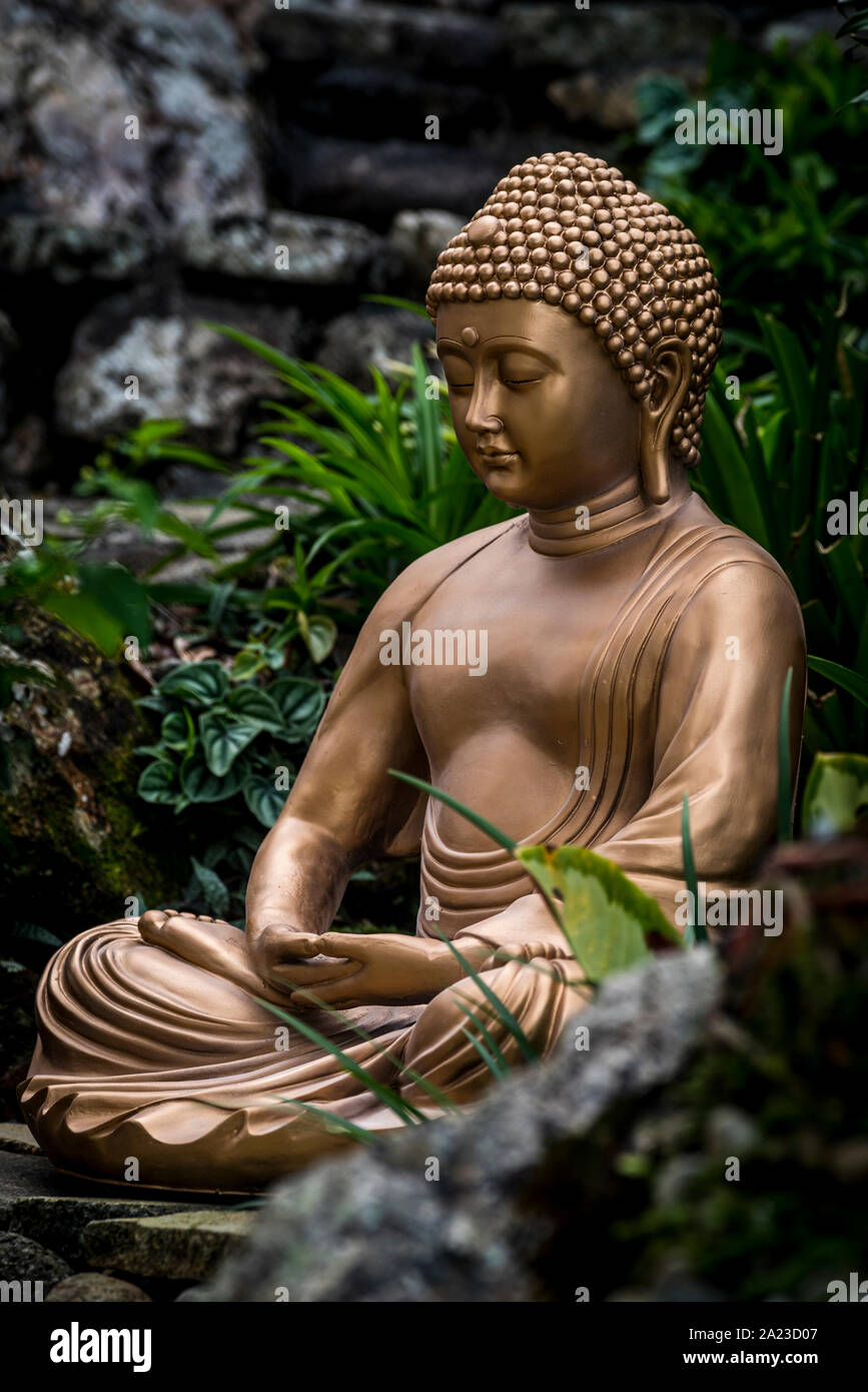 Estatua de buda de oro en un jardín de piedra con plantas verdes en el fondo Foto de stock
