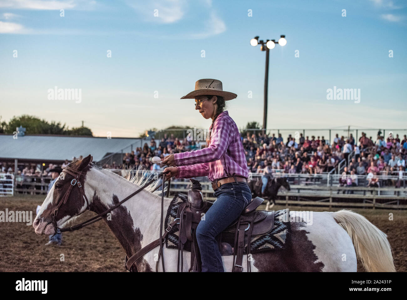 Feria País ternera roping contest. Foto de stock