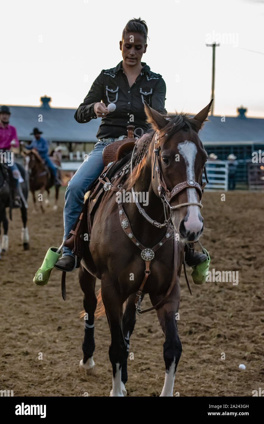 Feria País ternera roping contest. Foto de stock