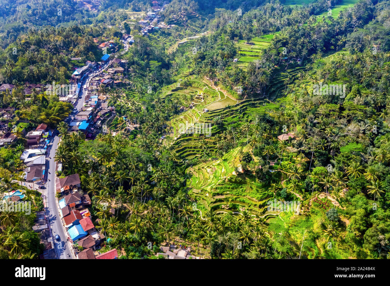 Vista aérea del pueblo Tegallalang y campo de arroz terraza, Bandung, al oeste de Java, Indonesia, Asia. Alta calidad royalty free stock image de Bali. Foto de stock