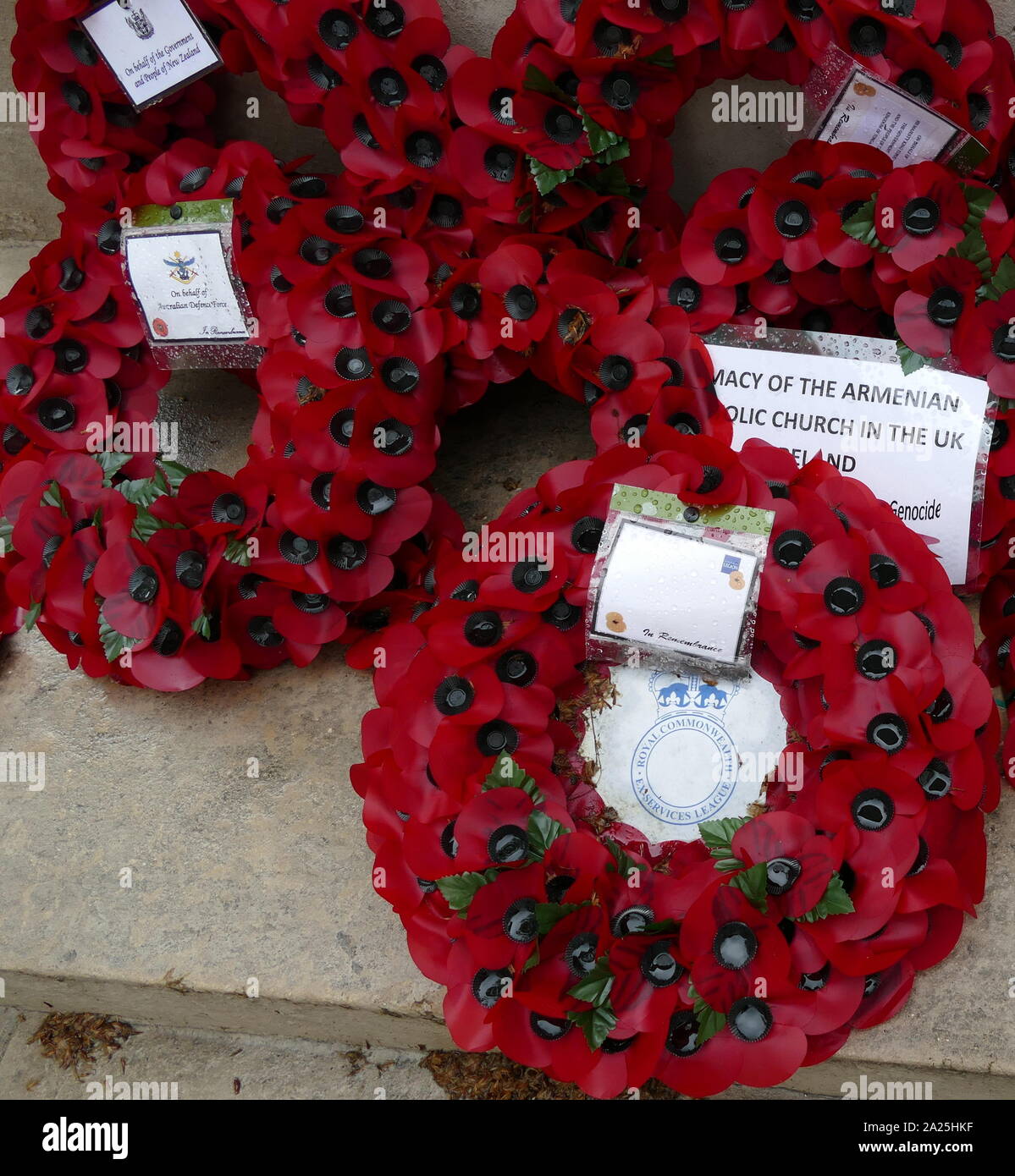 Coronas de amapolas artificiales sembradas en conmemoración de la guerra muerta en el cenotafio, Londres, Reino Unido. Foto de stock