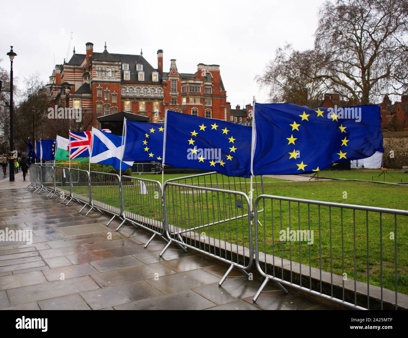 Banderas de la UE At College Green frente al Parlamento británico. Marzo 2019, protesta pidiendo un nuevo referéndum de la UE Foto de stock
