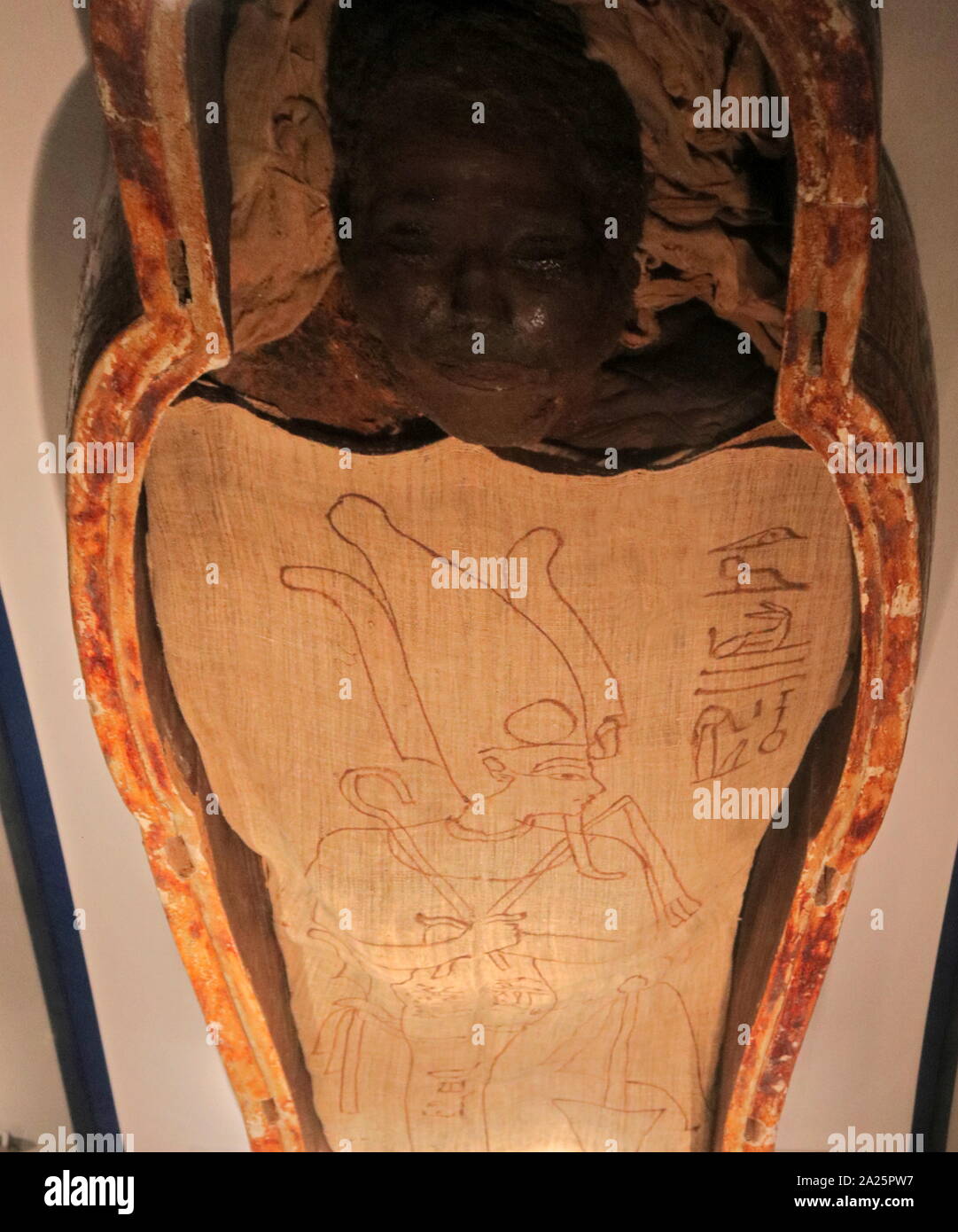Momia y el ataúd de un general del ejército Amunre, 21ª dinastía, Egipto, 1069 A.C. hasta el 945 A.C. Foto de stock
