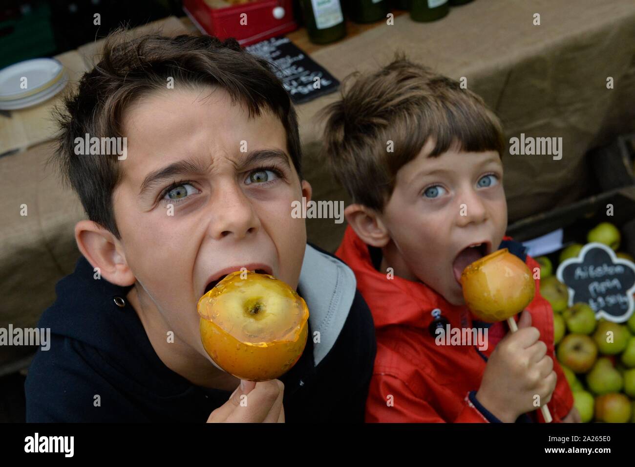 Día Apple 2019 festival en Stanmer Park, Brighton. Foto:Terry Applin Foto de stock