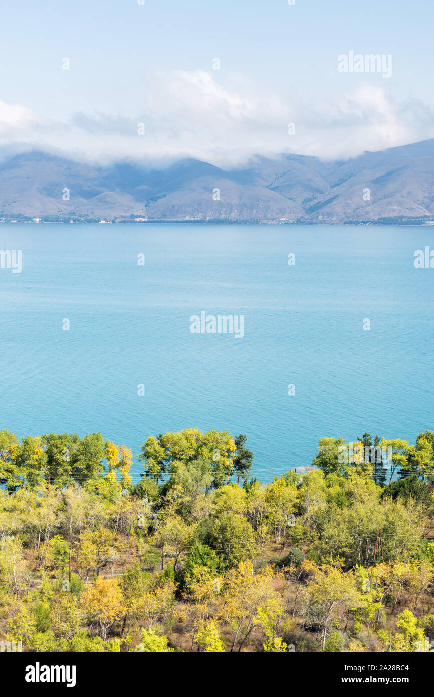 Los árboles en la orilla del lago Sevan, Armenia Foto de stock