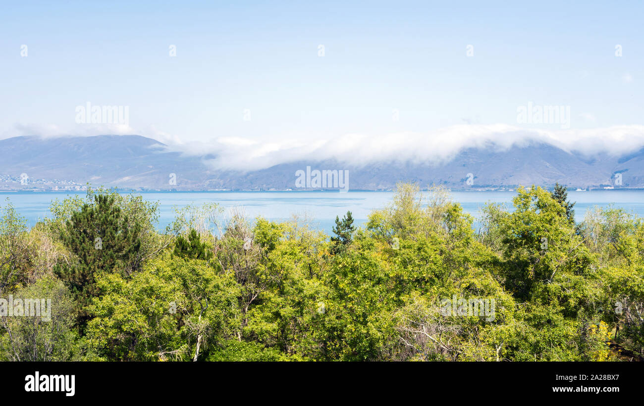 Los árboles en la orilla del lago Sevan, Armenia Foto de stock