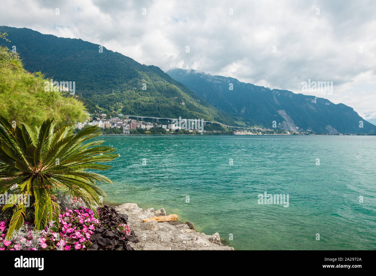 Rica vegetación de verano a orillas del Lago Leman en Riviera Montreux, Vaud, Suiza el día de verano Foto de stock