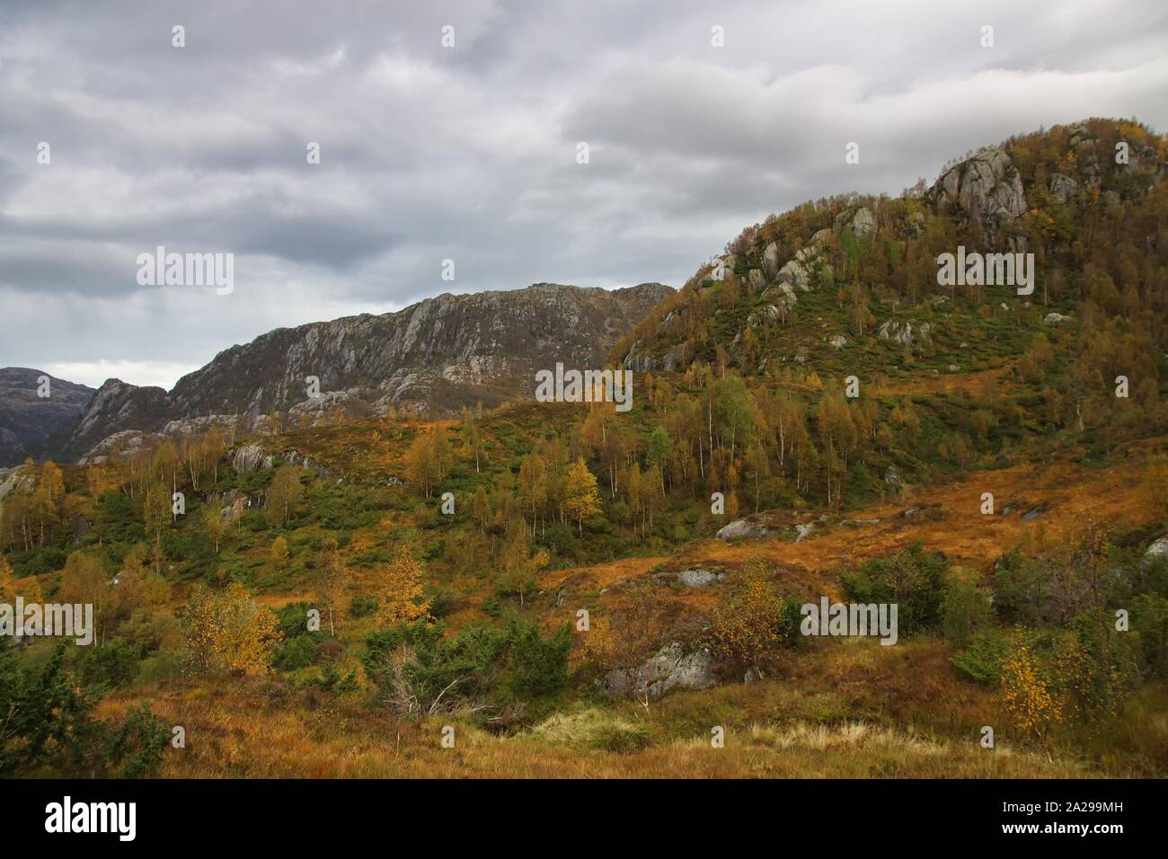 Otoño en el Parque Nacional Folgefonna, Noruega Foto de stock