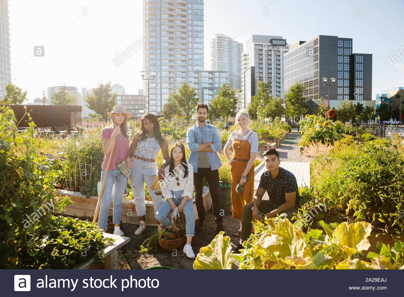 Retratos de amigos adultos jóvenes confiados en la soleada, jardín comunitario urbano Foto de stock