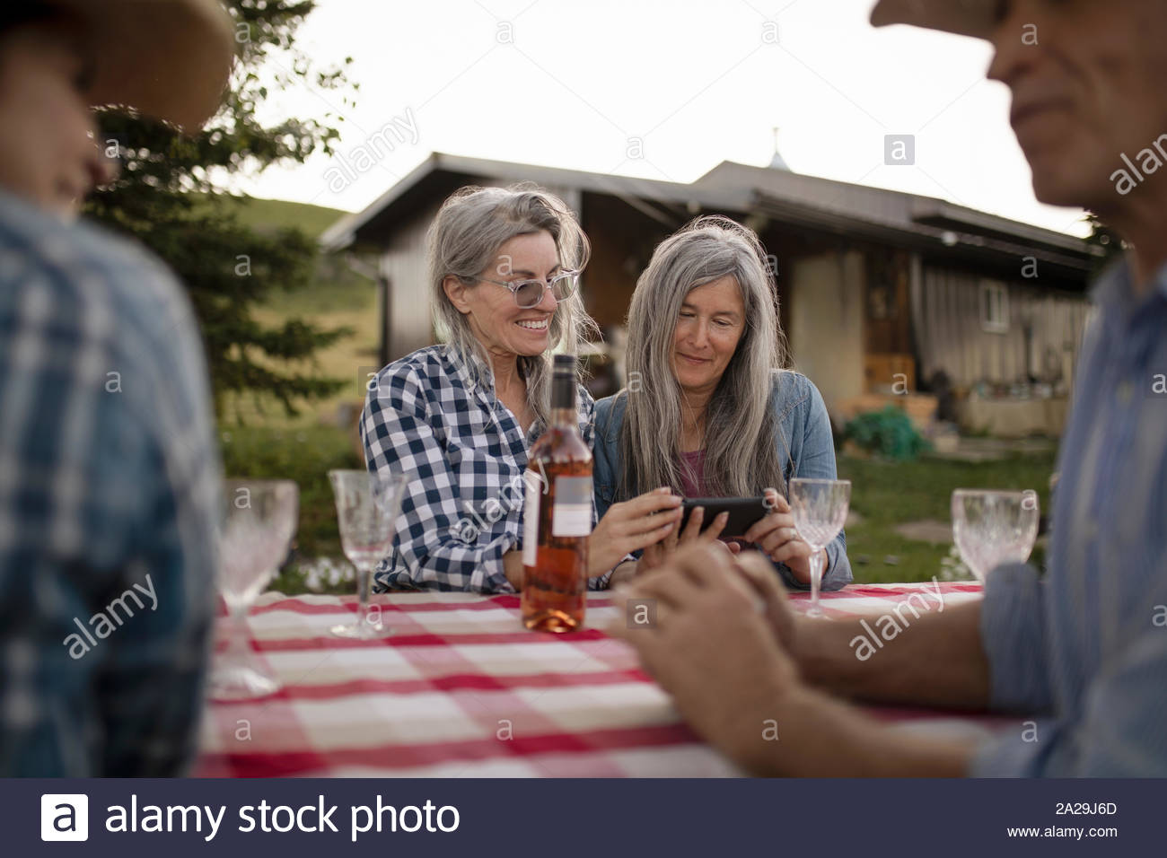 Las mujeres maduras buscan en el teléfono celular y bebiendo vino al aire libre Foto de stock