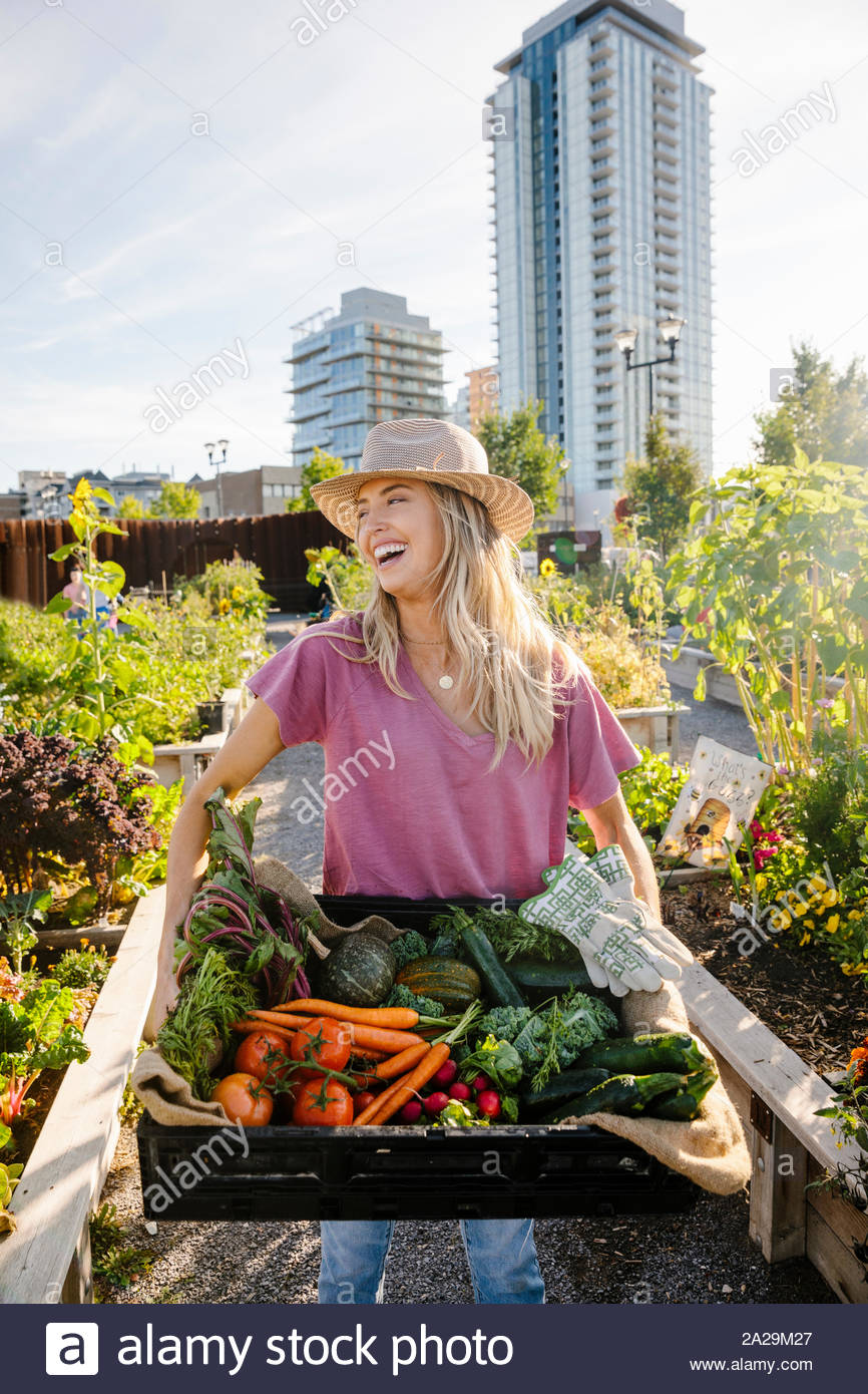 Retrato feliz, riendo joven llevando frescas hortalizas cosechadas en la soleada, jardín comunitario urbano Foto de stock