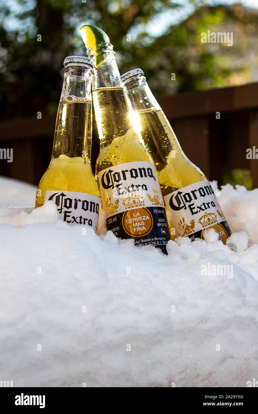 Tres botellas de cerveza Corona con limón sobre hielo y nieve, con árboles en el fondo Foto de stock
