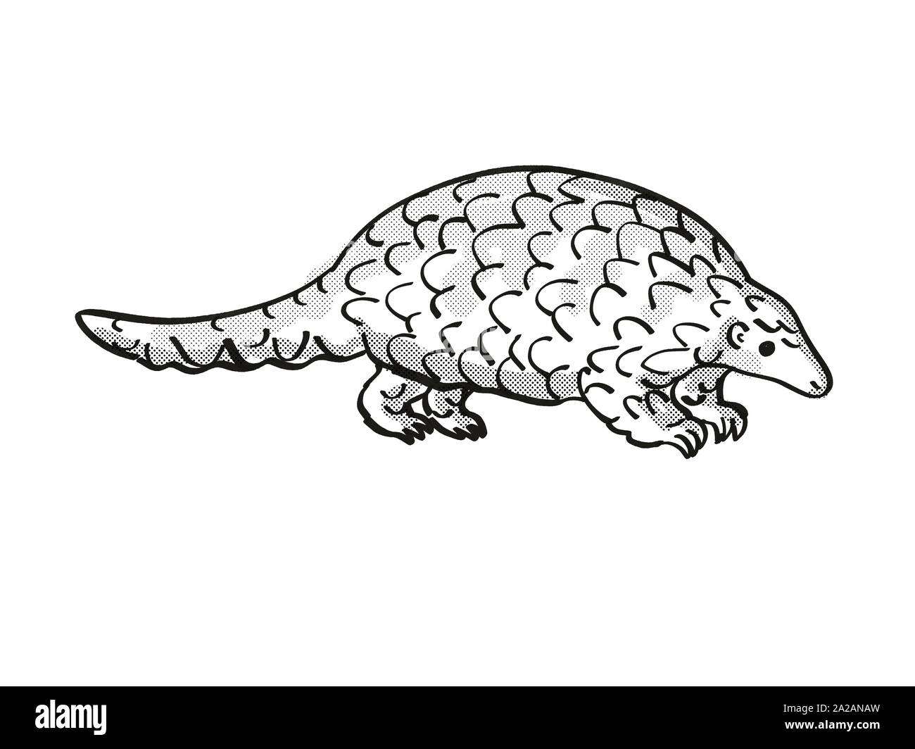 Pangolin molido Imágenes recortadas de stock - Alamy