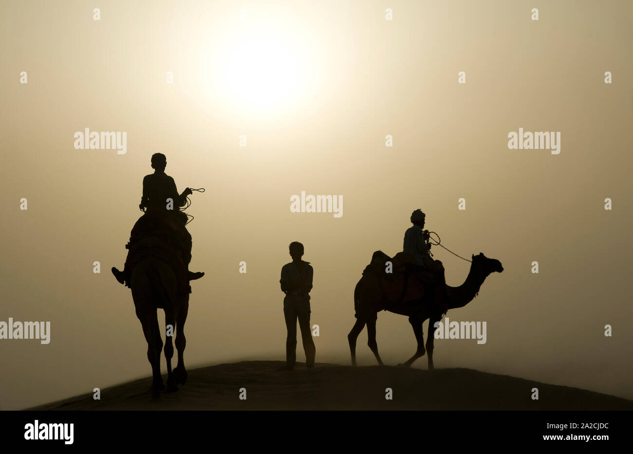 Atardecer en el desierto de Thar - silueta de niño parado entre camelleros Foto de stock